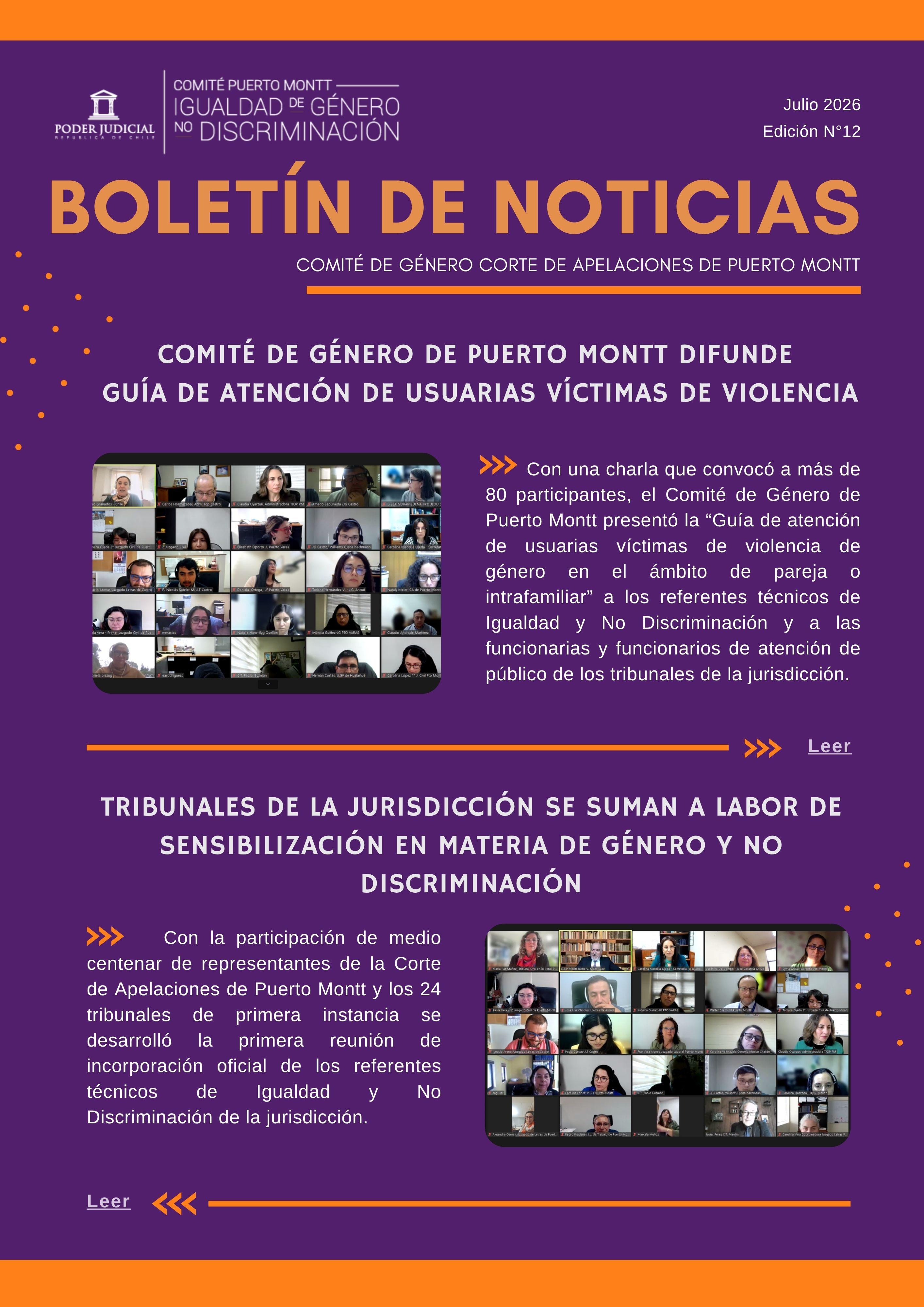 COMITÉ DE GÉNERO DE LA JURISDICCIÓN PUERTO MONTT PUBLICA NUEVA EDICIÓN DE BOLETÍN INFORMATIVO